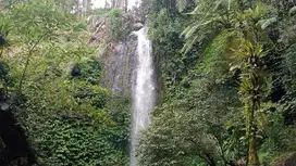 Tanah dengan view Air terjun , sawah dan jungle di tabanan bali