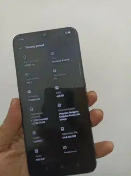 Oppo f11 4/128 hp casan