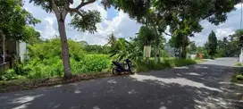 Di jual tanah sawah harga murah Lokasi area Godean Sleman