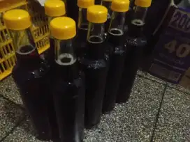 Madu tawon ternak