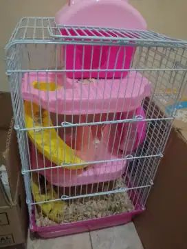 1 Hamster Winter Golden+Kandang