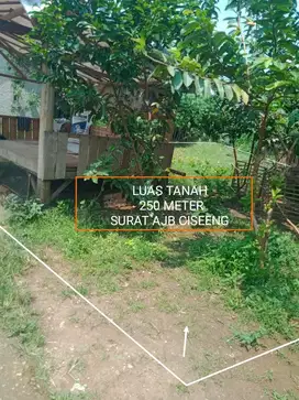 TANAH MURAH DAN STRATEGIS DI CISEENG BOGOR