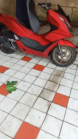 Honda Pcx 2024 Abs