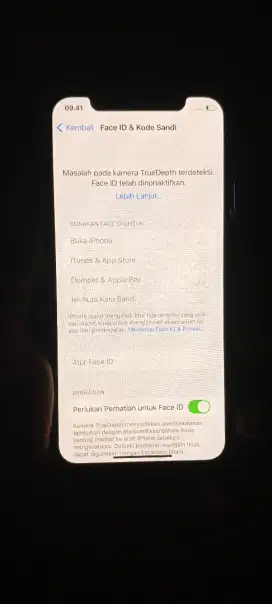 Iphone x ex inter 256 imei permanen