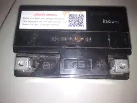 Aki GS ASTRA GTZ5S