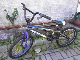 BMX 20 Phoenix Star
