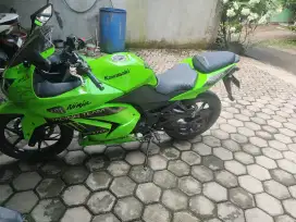 Kawasaki Ninja 250