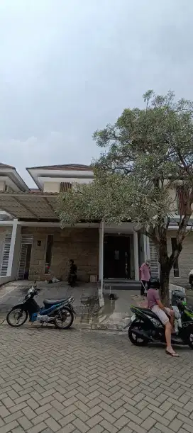 disewakan Rumah 2lt citraland cluster greenhill