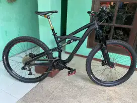 Specialized Enduro Mulusss Spec Oke