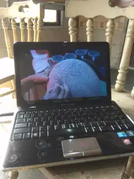hp dv3 double vga