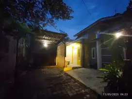Kontrakan harian / mingguan
