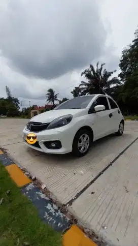 Brio E Manual 2018