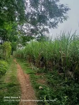 Dijual murah tanah 5720m dijumantono karanganyar