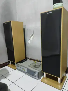 Bigband Polytron mulusss