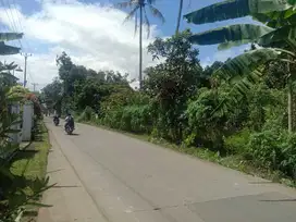 Di Jual Tanah Komersial di Dangdang Cisauk Tangerang Banten