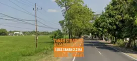 Tanah LD 124 mtr, Jl Raya Propinsi Madiun-NGAWI, Baguss