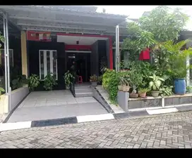 Rumah cluster bukit elang