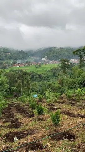 Jual Cepat Tanah di Pasir Jambu, Cikoneng Soreang