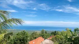 Jual Tanah View Ocean & Valley, Jembrana Bali