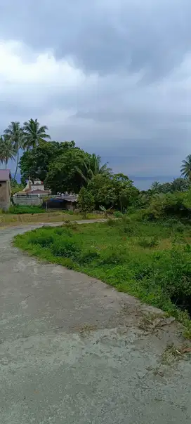 Pinggir Pantai Lumban Silintong, 500m dari  Damar Resort