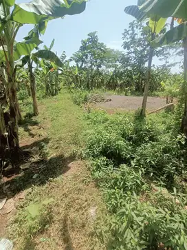 Dijual tanah kosong untuk KOS kompleks kampus UMP Purwokerto