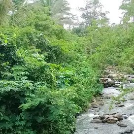 Di jual tanah los sungai zona kuning cocok untuk hotel