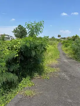 Tanah Pantai Munggu Mengwi Badung