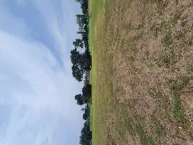 Dijual kavling view golf cluster akasia suvarna padi tangerang