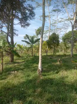 Villa Kebun Durian, Lt. 2 Ha, Bojong, Purwakarta.