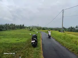 di sewakan tanah view sawah dan bukit
