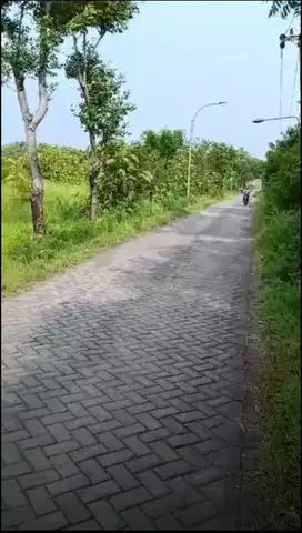 dijual tanah di pasuruan utk gudang/rumah 150rb/meter
