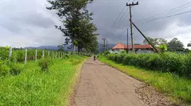 dijual tanah Singosari 18ha. 350ribu/meter