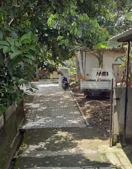 Tanah Tembalang Gondang Undip