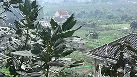 Tanah di kota Batu Cuban Talun  dekat padda cafe, Dekat hotel purnama