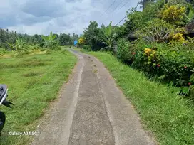 dikontrakkan tanah view sawah dan gunung