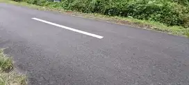 Tanah kebun subur
