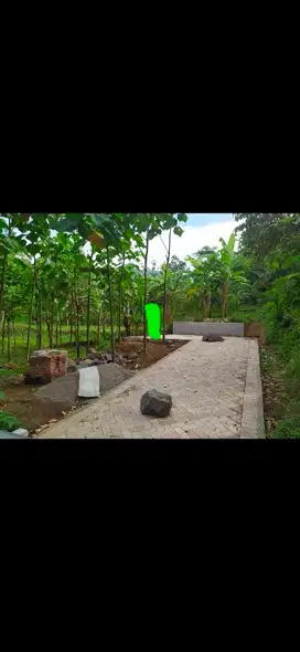 tanag 3 lokasi peruntukan cocok untuk peternakan
