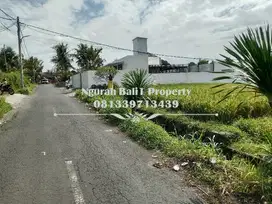 Tanah Disewakan Murah Luas 8 Are Kawasan Villa di Ubud