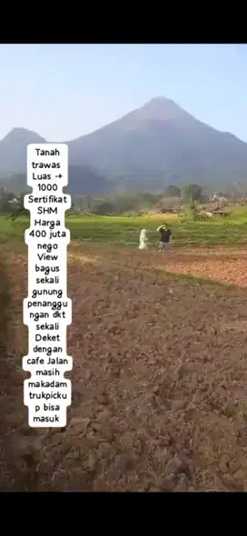 Tanah luas -+900 view langsung gunung penanggungan losss bagus banget