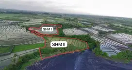 Tanah Murah Beachfront Pantai Pasut Kerambitan Tabanan