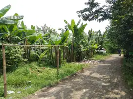 Tanah Cilodong Harga Fresh Launching Dekat Stasiun Pondok Rajeg