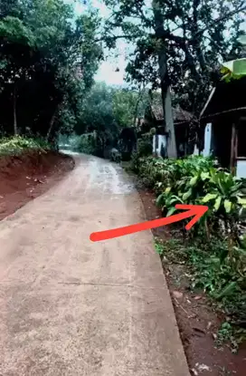 Dijual Tanah Kebun 350m² Jonggol Cileungsi Bogor Timur