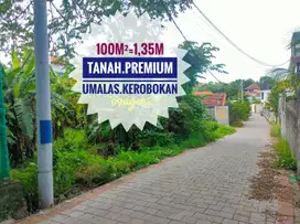 Jual Tanah Premium Umaalas Kerobokan Canggu Bali