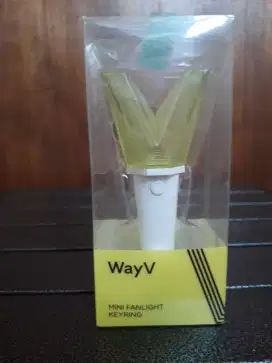 Mini fanlight keyring NCT WAYV