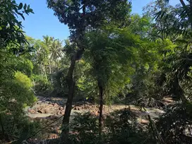 Dijual tanah view sawah dan los sungai dekat denpasar