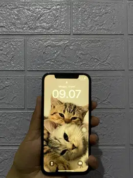IPHONE 12 PRO 256 EX INTER