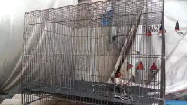 Jual kandang kucing minat chat me