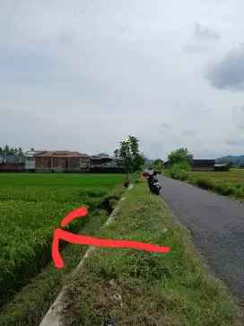 Dijual Tanah Sawah Sumberagung Moyudan