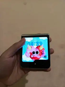 Samsung z flip 5 greenline tompel