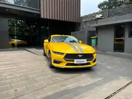 Ford Mustang 2.3L Ecoboost NIK 2024